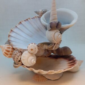 Schelpen sieradenbakje